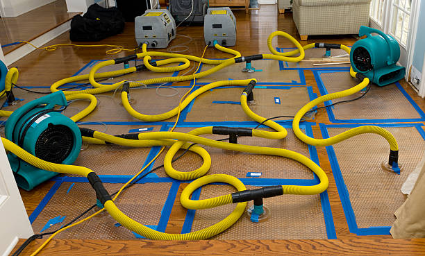 Professional Sewage Cleanup technician working in Oswego, NY